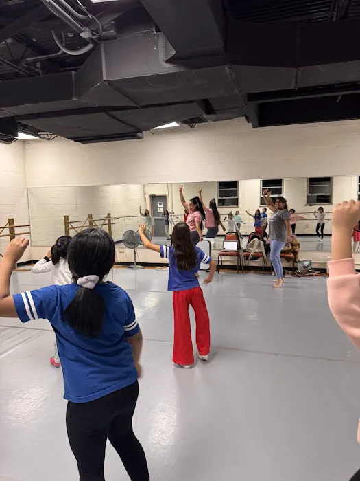 BEND IT LIKE BOLLYWOOD DANCE CO. Picture 7