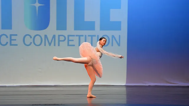 Columbia Youth Ballet Picture 6