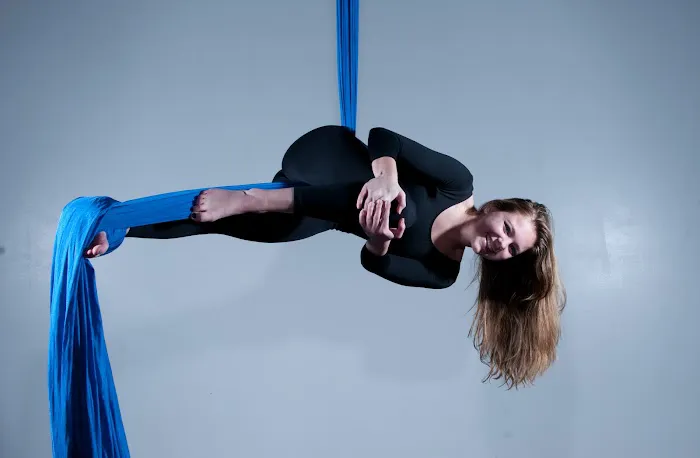 Luna Aerial Dance & Performing Arts Picture 1