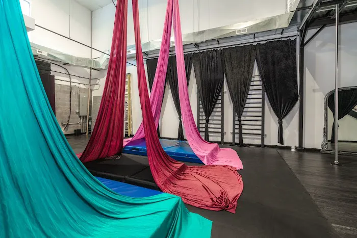 Luna Aerial Dance & Performing Arts Picture 10