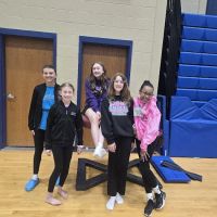 Wilson School of Gymnastics and Dance ico