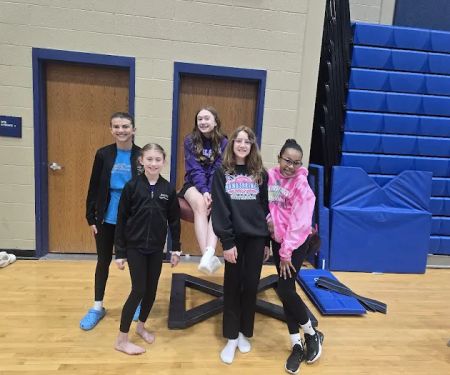 Wilson School of Gymnastics and Dance