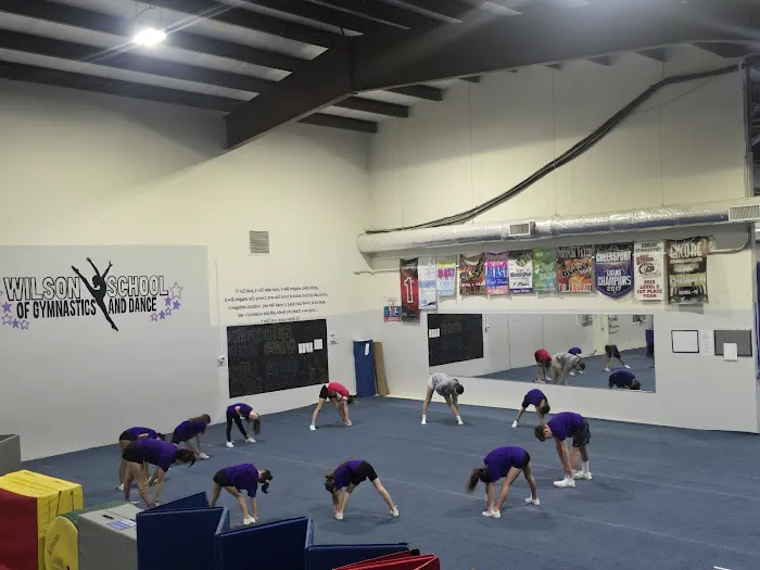 Wilson School of Gymnastics and Dance Picture 3