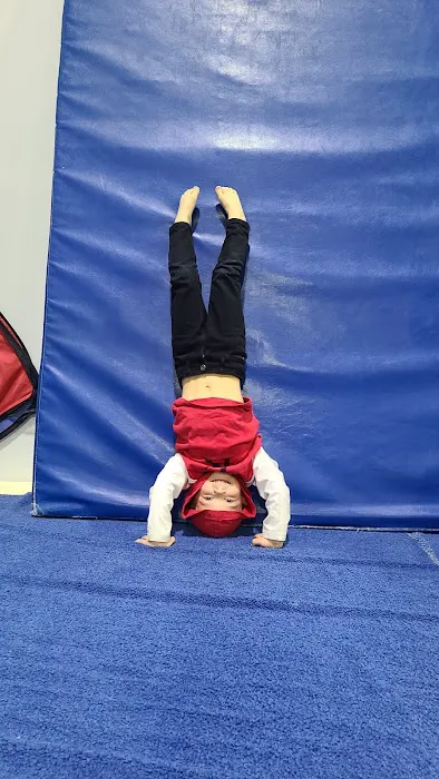 Wilson School of Gymnastics and Dance Picture 7