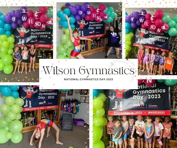 Wilson School of Gymnastics and Dance Picture 8