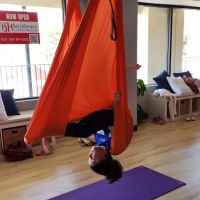 Brickhouse Cardio Club ico