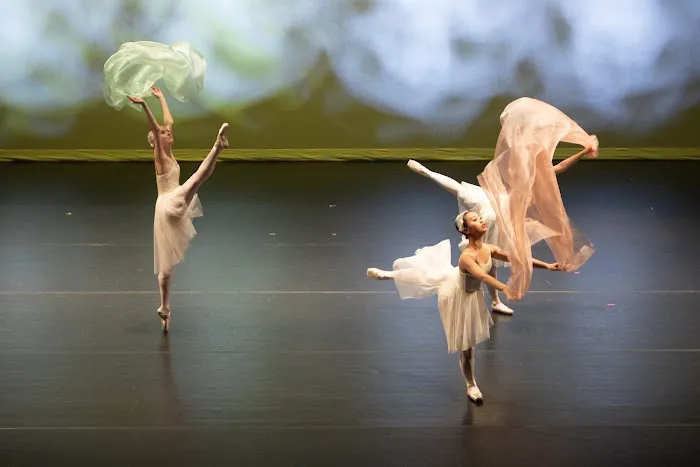 Misako Ballet Studio Picture 4