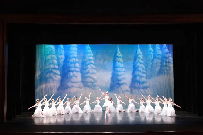 Metropolitan Ballet Theatre Picture 5