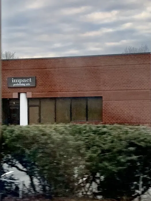 Impact Dance/Performing Arts Studio Picture 2