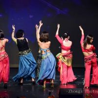 Nile Dance Studio ico