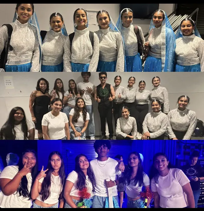 Naach Performing Arts Picture 3