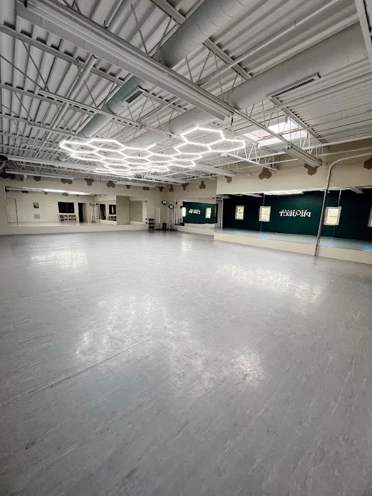 Maryland Dance Project Picture 1