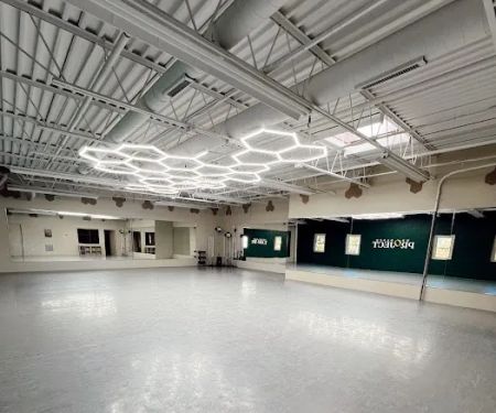 Maryland Dance Project