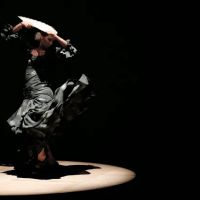 Yolit Flamenco, Alma Dance Studio ico