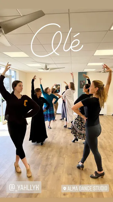 Yolit Flamenco, Alma Dance Studio Picture 6