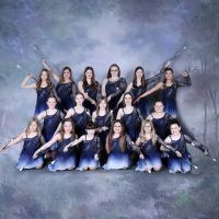 Wolf's Performing Arts ico