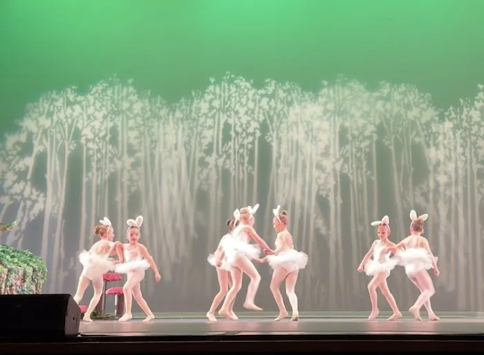 Johnstown Concert Ballet Picture 1