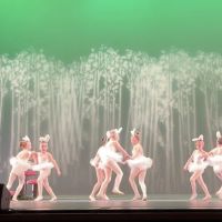 Johnstown Concert Ballet ico