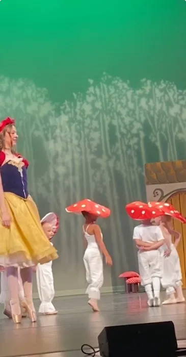Johnstown Concert Ballet Picture 8