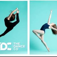 The Dance Company ico