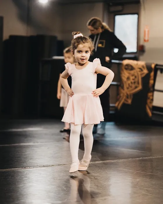 Lefton Dance Complex - Dance Studio Picture 1