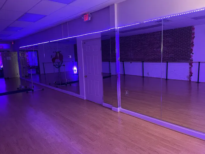The Soulful Co. Barre & Dance Fitness Picture 8