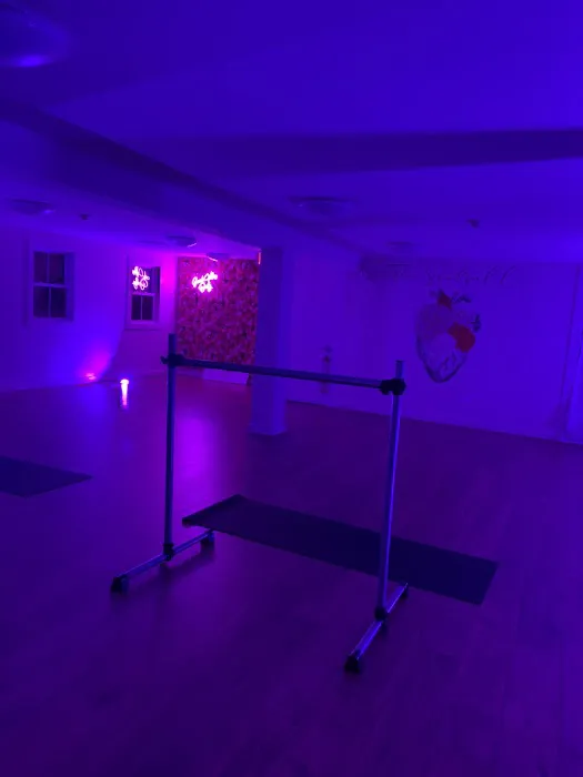 The Soulful Co. Barre & Dance Fitness Picture 10