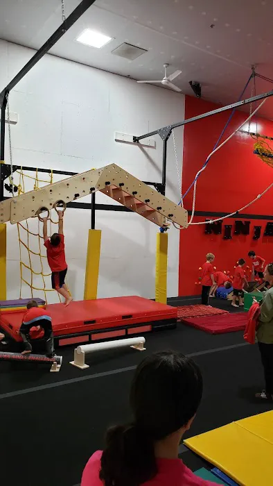 Sterling Academy Of Gymnastics Picture 2