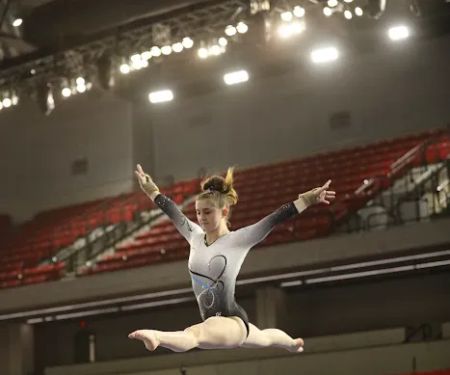 Sterling Academy Of Gymnastics