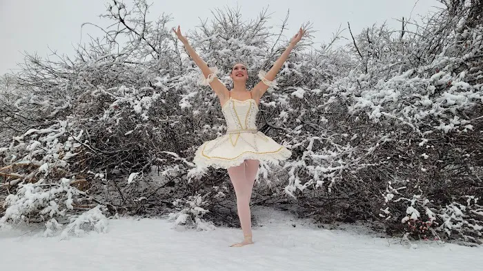 Boire Dance Academy Picture 4