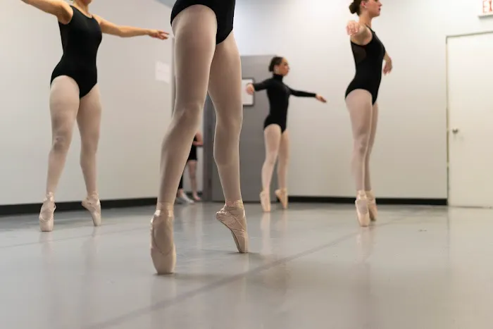 Saval Dance Academy Picture 2