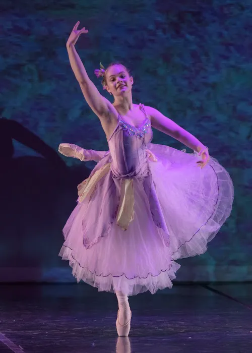 L'Ecole de Ballet Picture 9