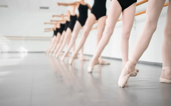 Dream Ballet School Picture 5