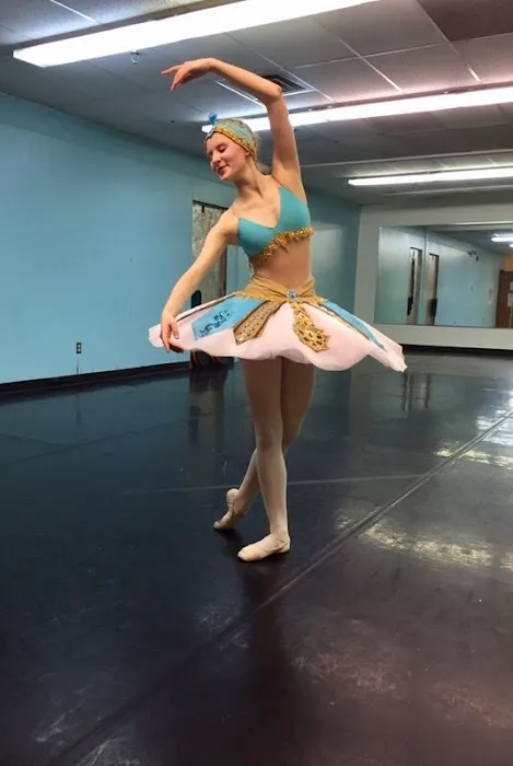 Danceartists Ballet Academy Picture 1