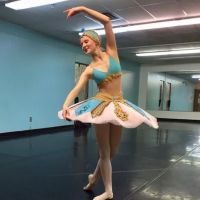 Danceartists Ballet Academy ico