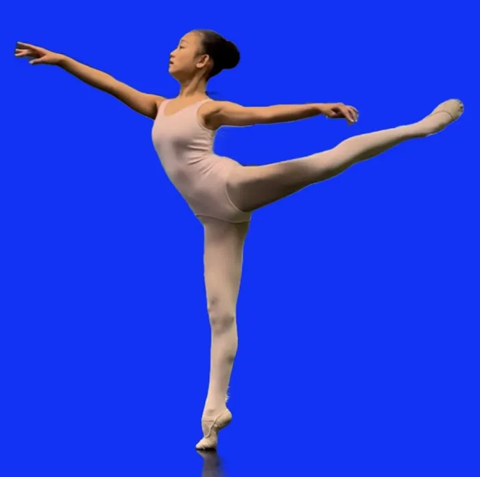 Danceartists Ballet Academy Picture 3