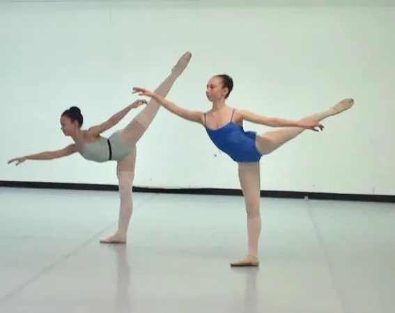 Danceartists Ballet Academy Picture 8