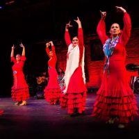Flamenco Worcester ico