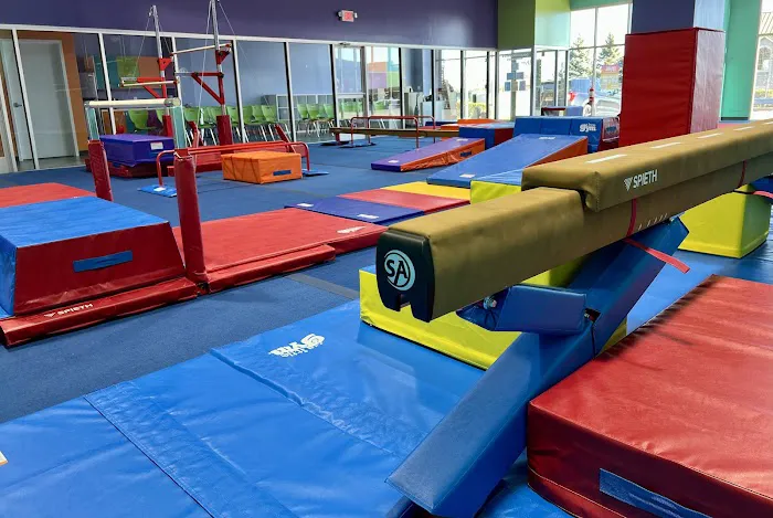 The Little Gym of Leominster Picture 2