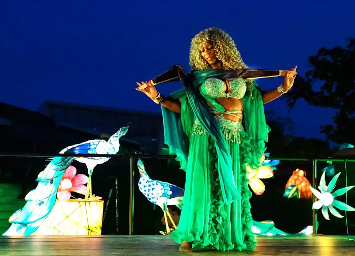 Inara Belly Dance Picture 1