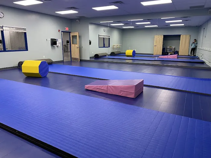 Taunton Dance Academy Picture 3