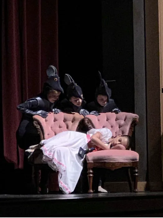 Dance Theater of New England Picture 5