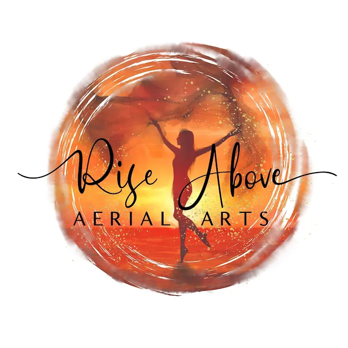Rise Above Aerial Arts Picture 2