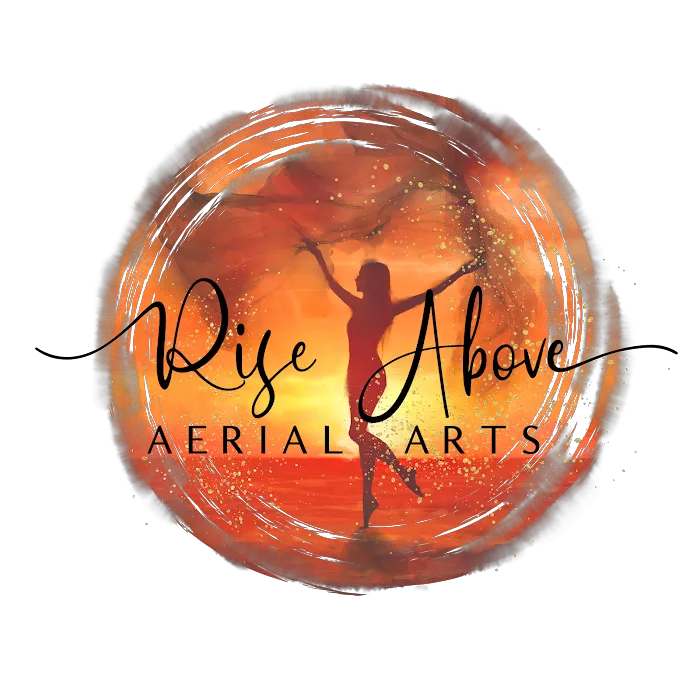 Rise Above Aerial Arts Picture 4