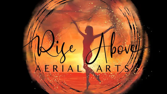 Rise Above Aerial Arts Picture 5