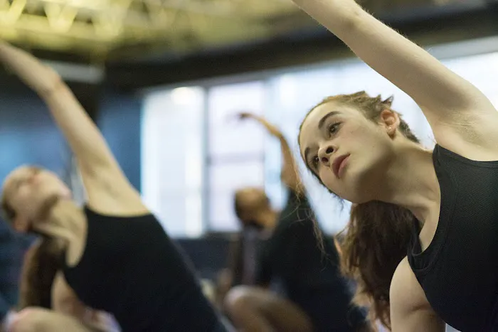 Joy of Motion Dance Center Picture 10