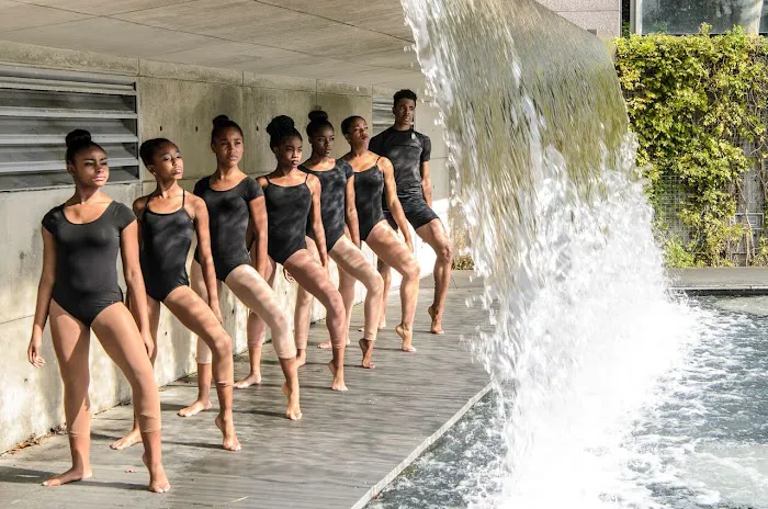 The Dance Institute of Washington Picture 1