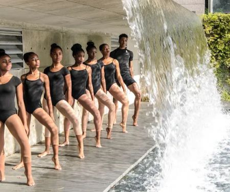 The Dance Institute of Washington