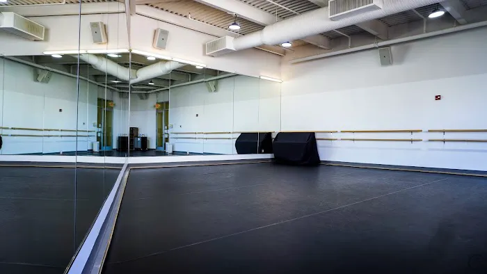 The Dance Institute of Washington Picture 8