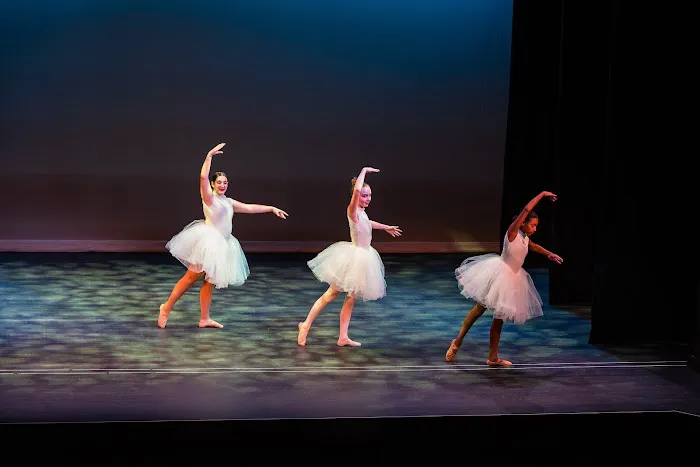 Destiny Dance LLC Picture 2